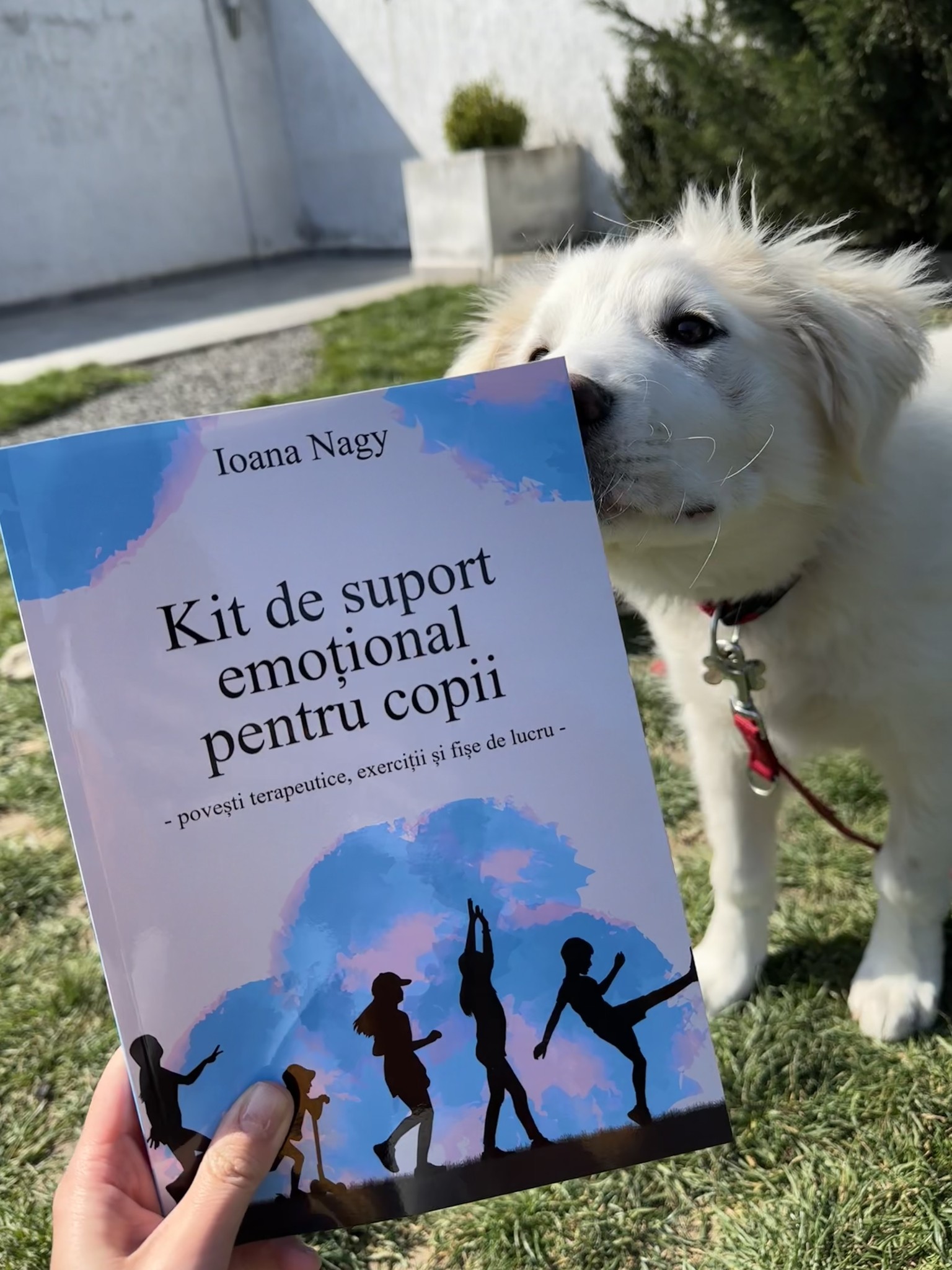 Sunt momentele simple cele mai importante în  dezvoltarea emoțională a unui copil?